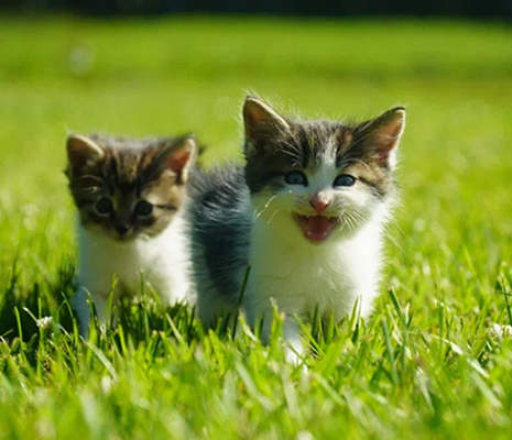 Фото проекта