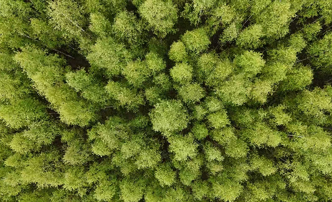 Фото проекта